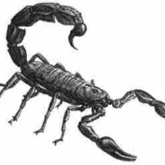 O Scorpion of Mine